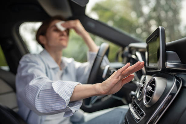 Best Air Conditioning Repair  in Franklin Grove, IL